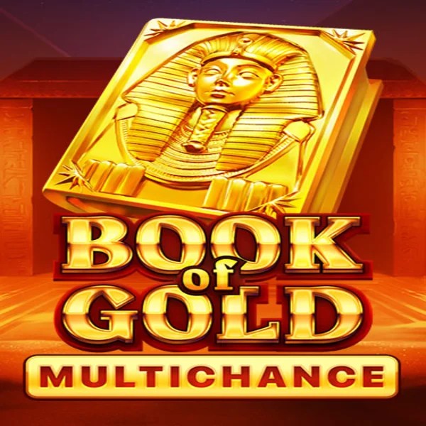 Book of Gold Multichance logo by Playson at Corgibet Casino